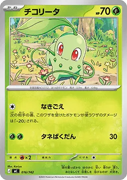 Chikorita