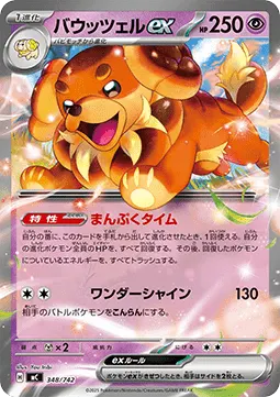 Dachsbun ex