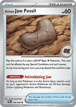 Antique Jaw Fossil