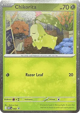 Chikorita