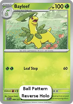 Bayleef