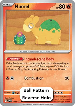 Numel