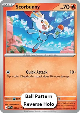 Scorbunny