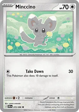 Minccino