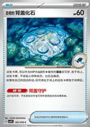 Antique Cover Fossil