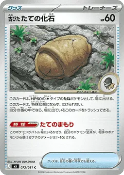 Antique Armor Fossil