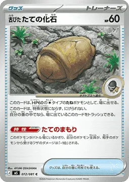 Antique Armor Fossil