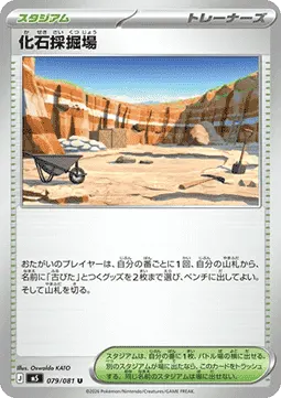 Fossil Excavation Site