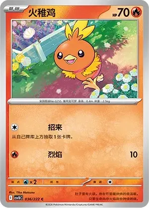 Torchic