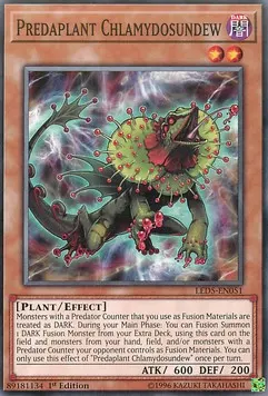 Predaplant Chlamydosundew