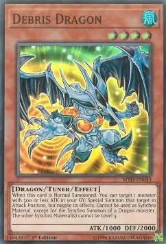 Debris Dragon