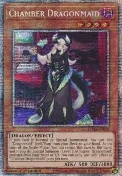 Chamber Dragonmaid