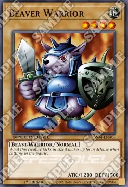 Beaver Warrior