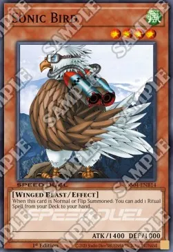 Sonic Bird