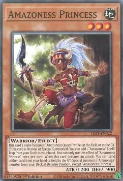 Amazoness Princess