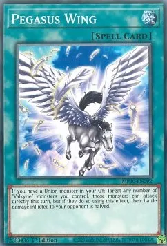 Pegasus Wing