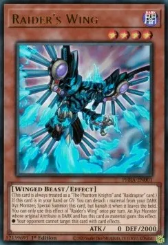 Raider's Wing