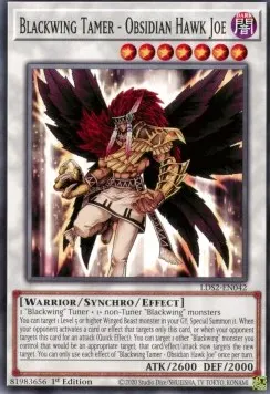 Blackwing Tamer - Obsidian Hawk Joe