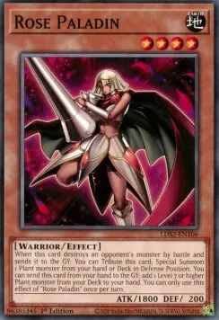 Rose Paladin