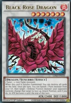Black Rose Dragon