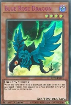 Blue Rose Dragon