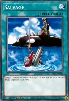 Salvage