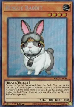 Rescue Rabbit