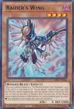 Raider's Wing