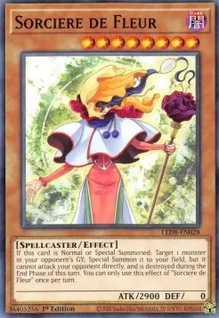 Sorcière de Fleur