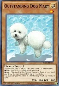 Outstanding Dog Mary