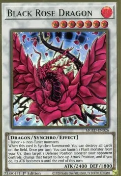 Black Rose Dragon