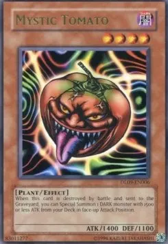 Mystic Tomato