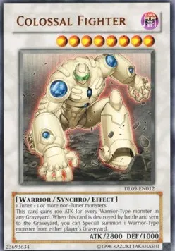 Colossal Fighter