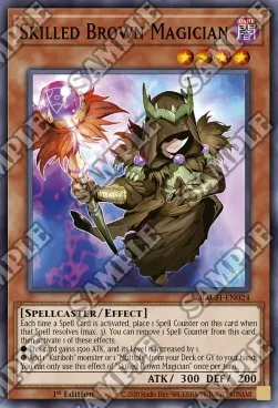 Skilled Brown Magician