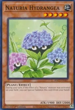 Naturia Hydrangea