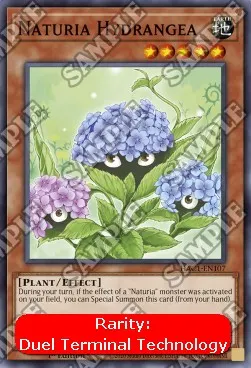 Naturia Hydrangea