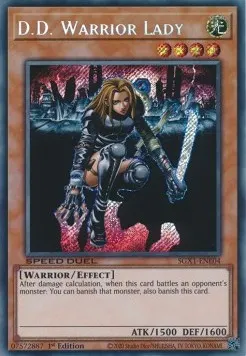 D.D. Warrior Lady