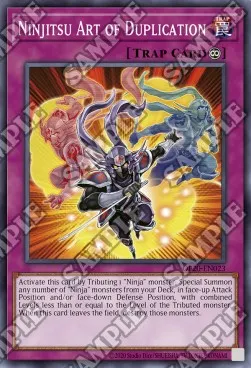 Ninjitsu Art of Duplication