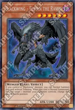 Blackwing - Elphin the Raven