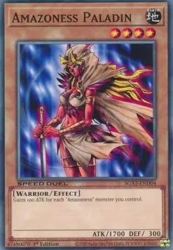 Amazone Paladin