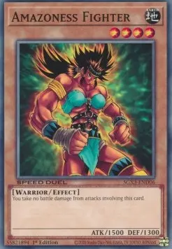 Amazone Fighter