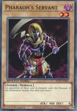 Pharaoh's Servant