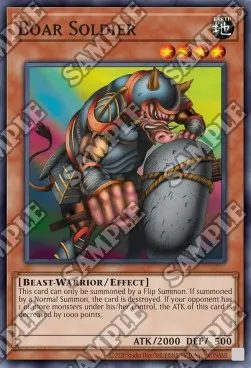 Boar Soldier