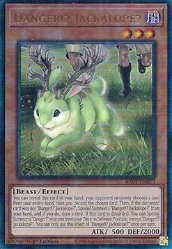 Danger!? Jackalope?