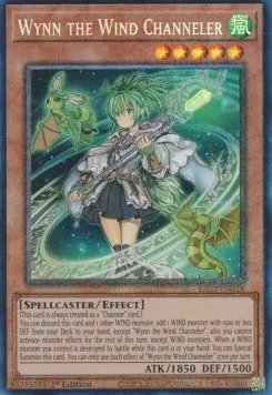 Wynn the Wind Channeler
