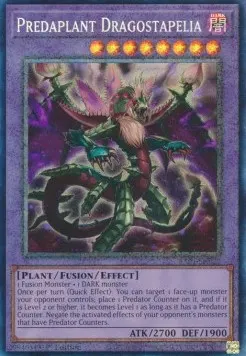 Predaplant Dragostapelia
