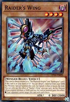 Raider's Wing