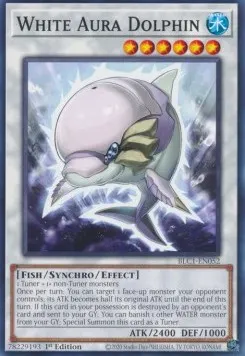 White Aura Dolphin