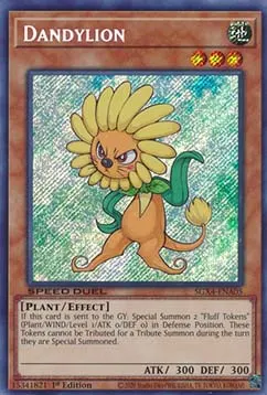 Dandylion
