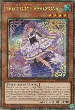 Selettrice Vaalmonica